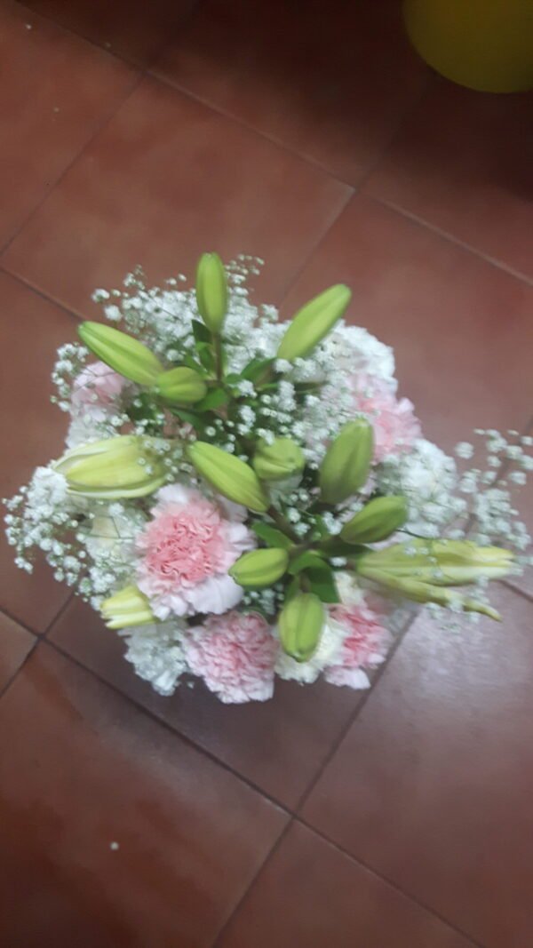 Ramo Clavel
