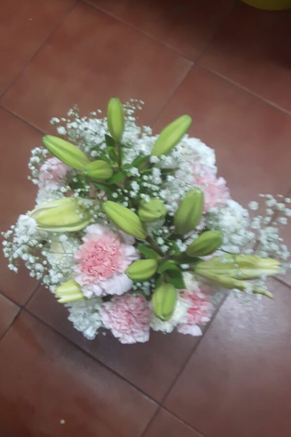 Ramo Clavel