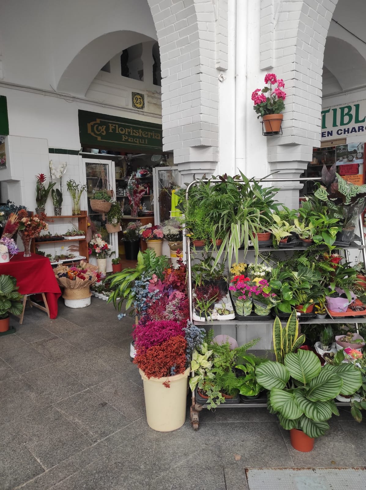 Floristeria Paqui