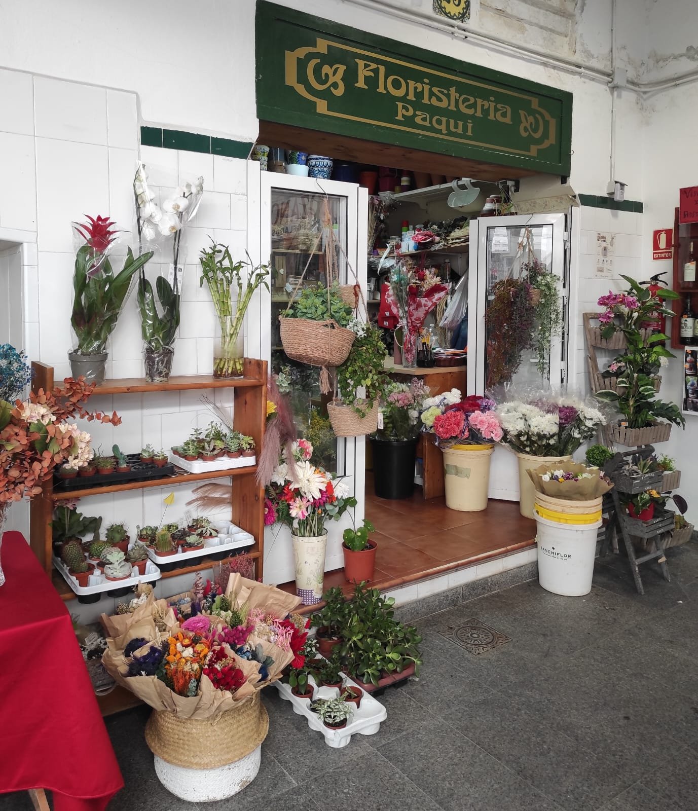 Floristeria Paqui